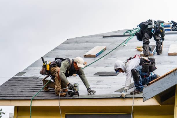 Professional Roofing technician working in Stockport, IA